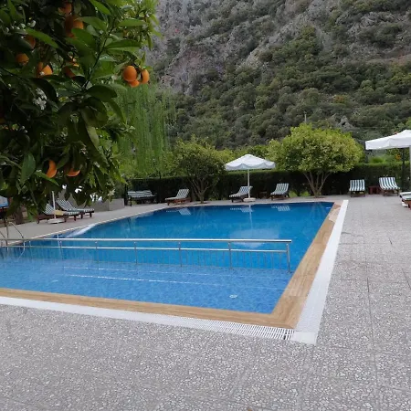 Arcadia Villa