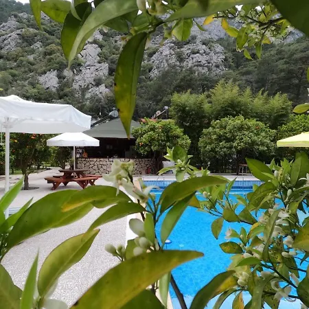 Arcadia Villa