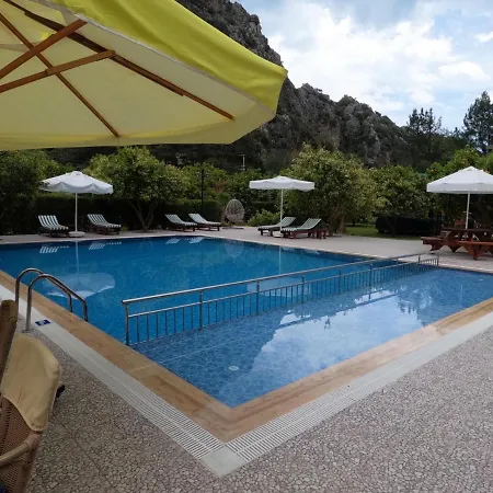 Arcadia Çıralı