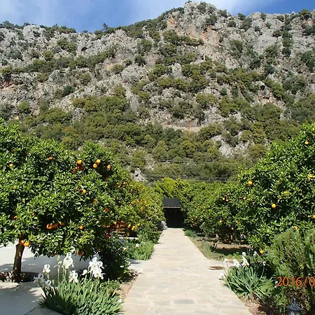 Villa Arcadia *