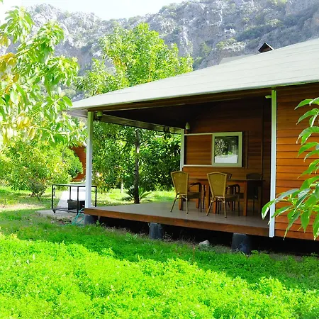 Arcadia Villa