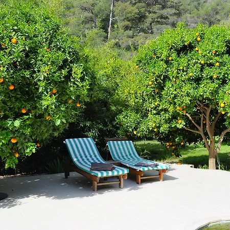 Arcadia Villa *