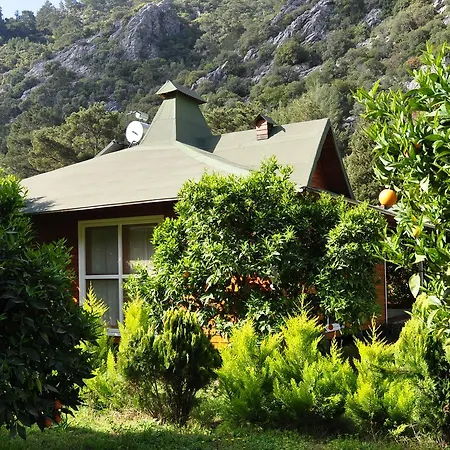 Villa Arcadia Çıralı