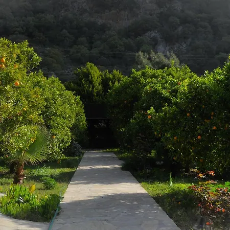 Villa Arcadia *