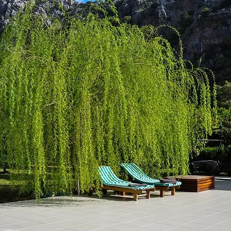 Villa Arcadia Çıralı