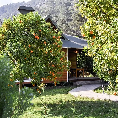 Arcadia Villa *