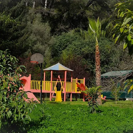 Arcadia * Cirali