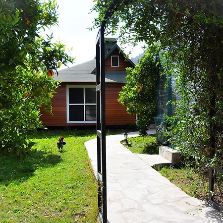 Villa Arcadia