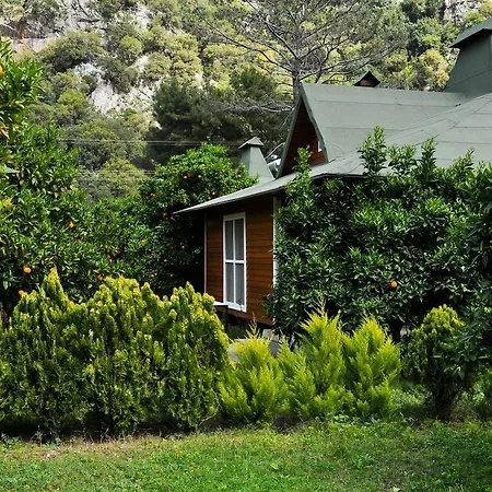 Villa Arcadia *