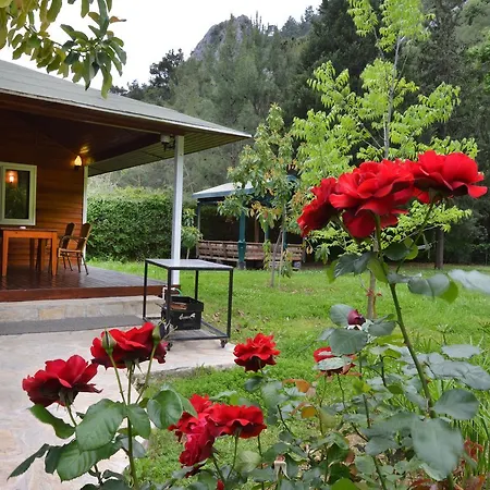 Villa Arcadia *