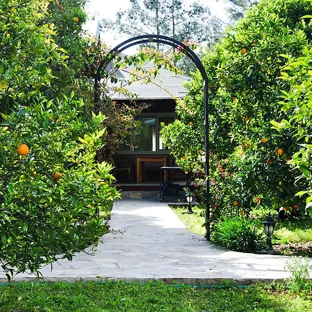 Villa Arcadia Çıralı