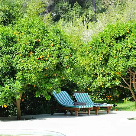 Arcadia Villa Çıralı