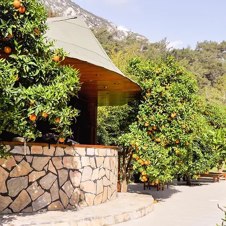 Arcadia Villa Çıralı