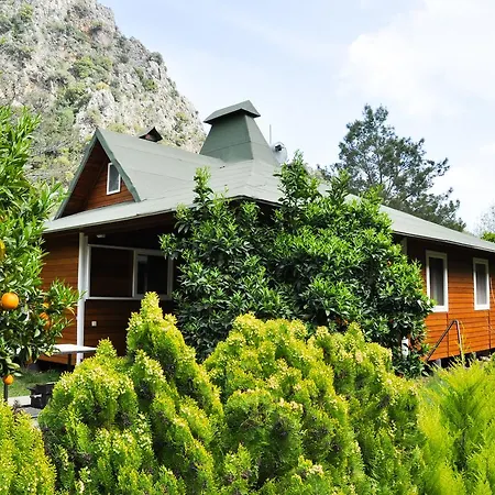 Villa Arcadia Çıralı